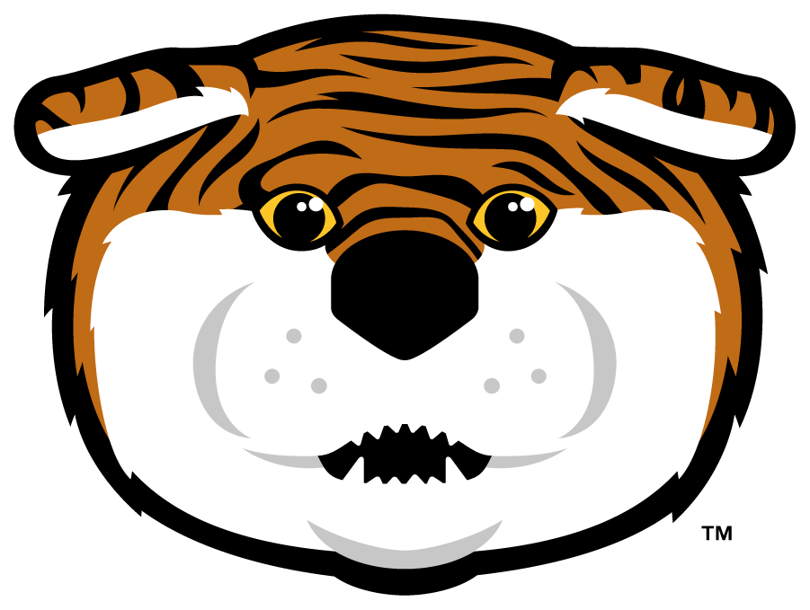 LSU Tigers 2013-Pres Mascot Logo v4 diy iron on heat transfer